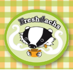 Fresh dachs - Catering und Cafeteria in Dresden